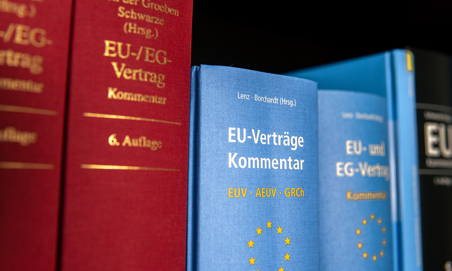 GK Rechtsgebiet Europäische und internationale Gerichte